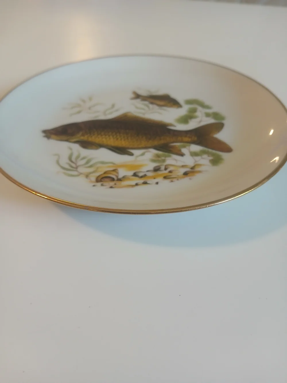 6 Gold Trim Vintage Naaman Israel Round Porcelain 6 1/2 Inch Plate